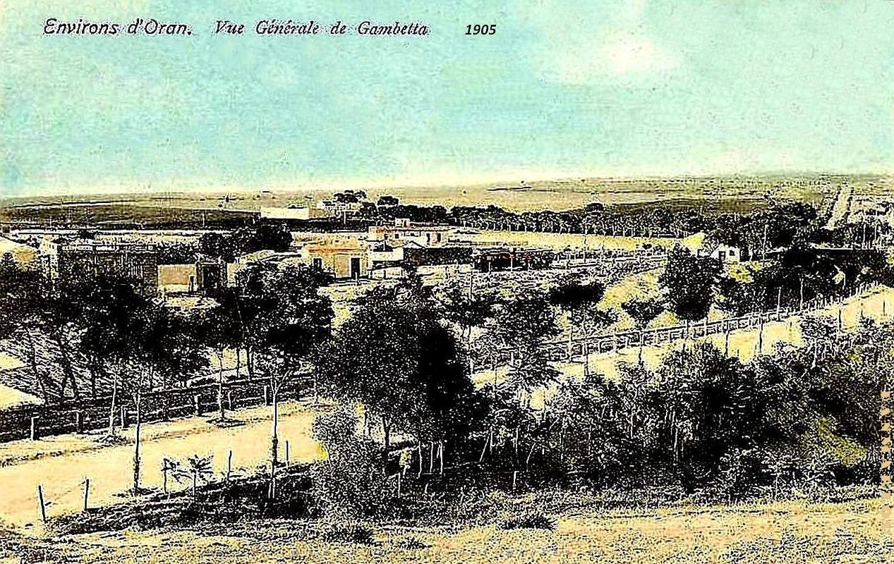 Oran-Gambetta - Vue generale -1905.jpg